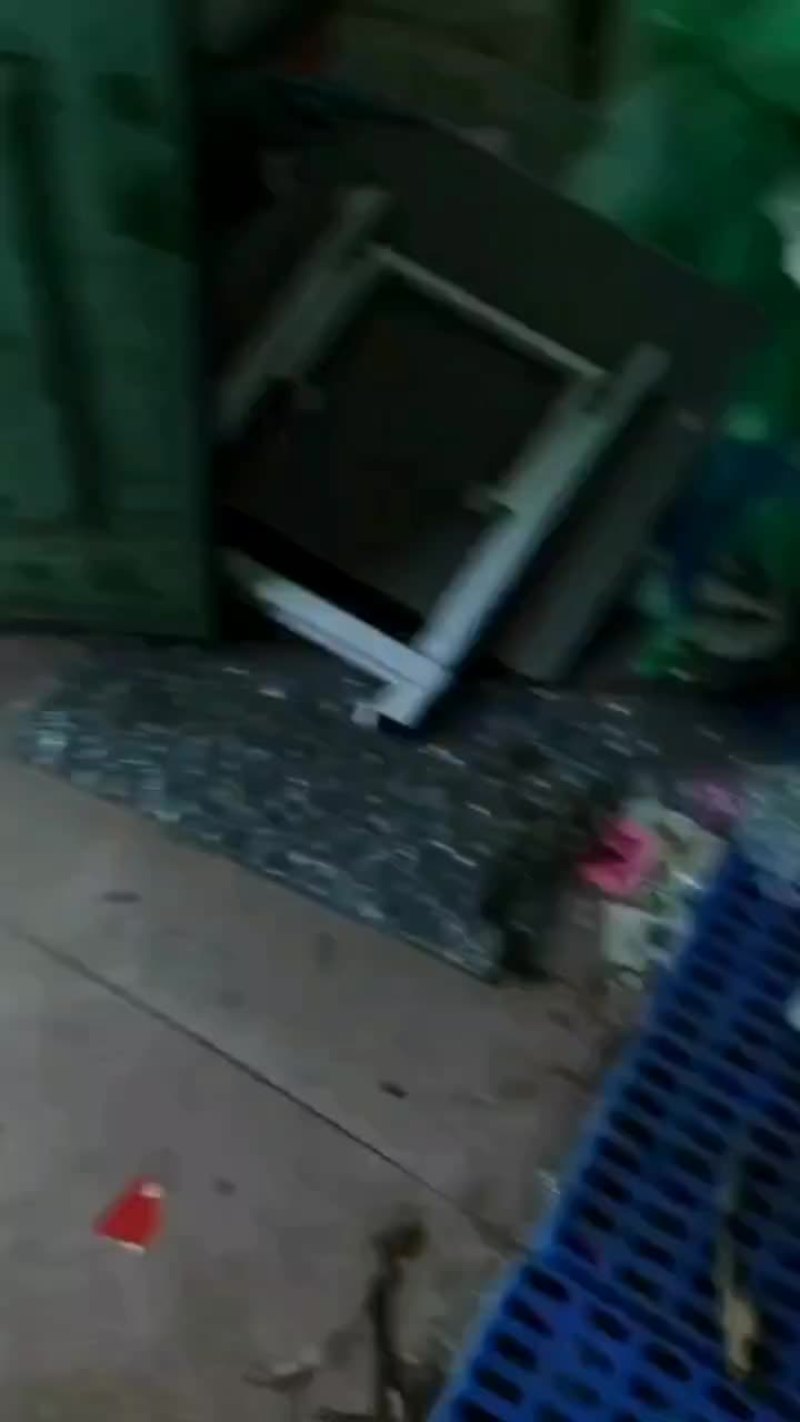 山东大闸蟹苗发货