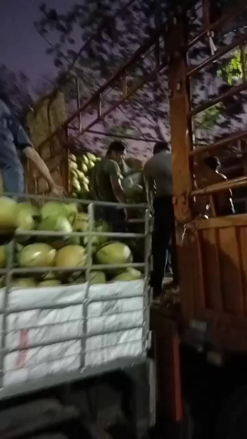 椰子