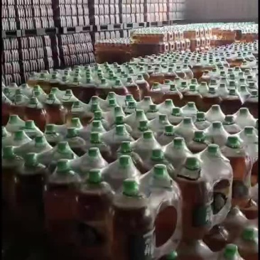 啤酒