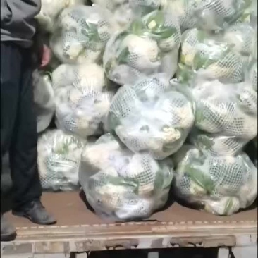 好菜