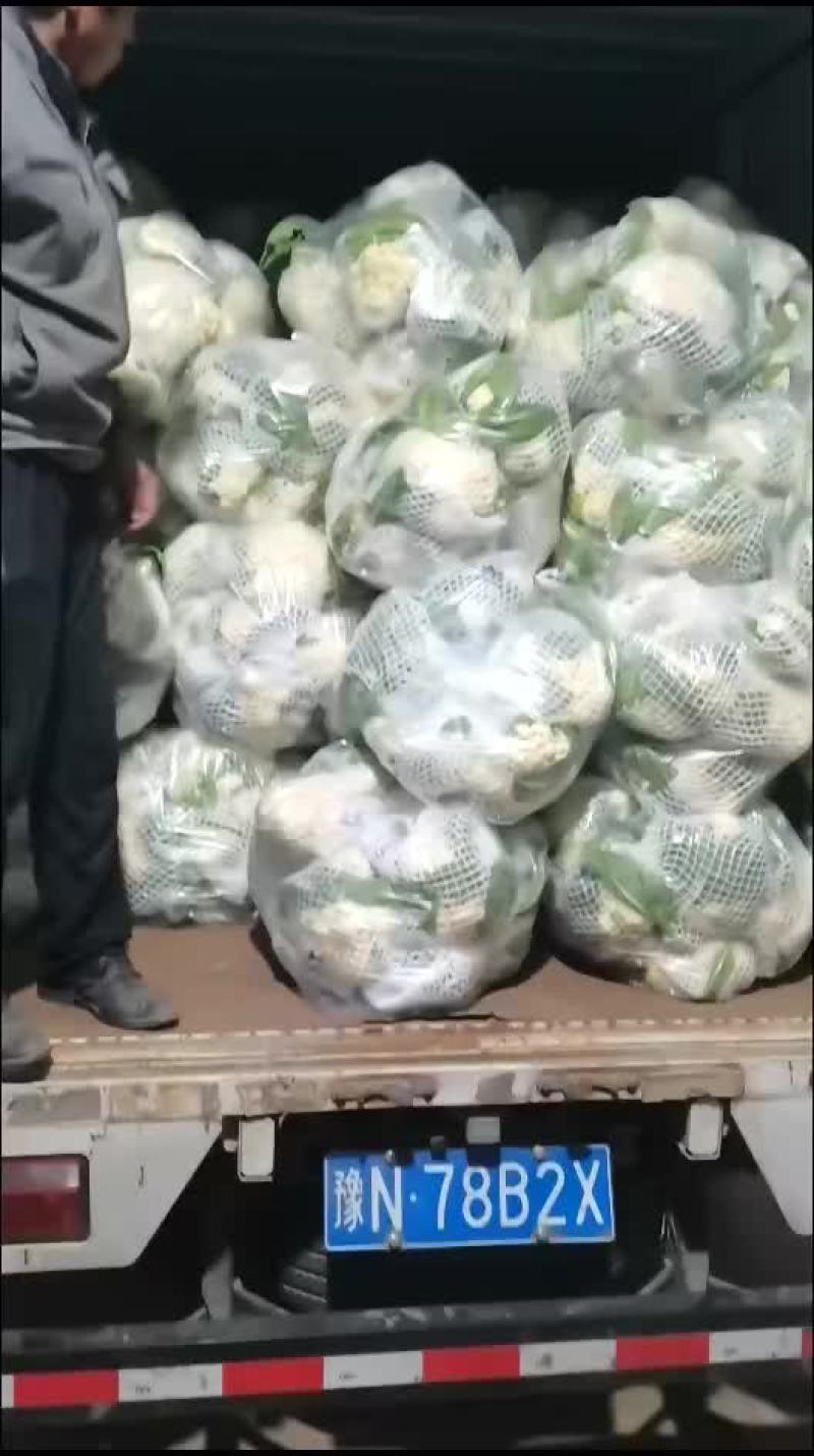 好菜