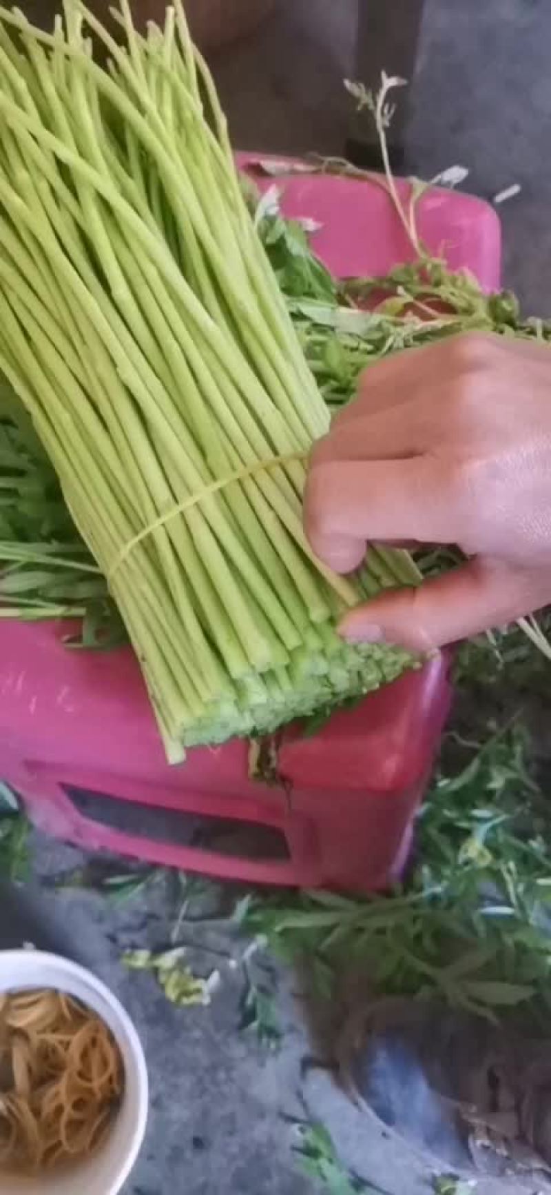 云南特级芦蒿