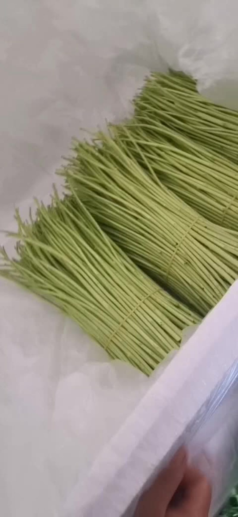 云南特级芦蒿