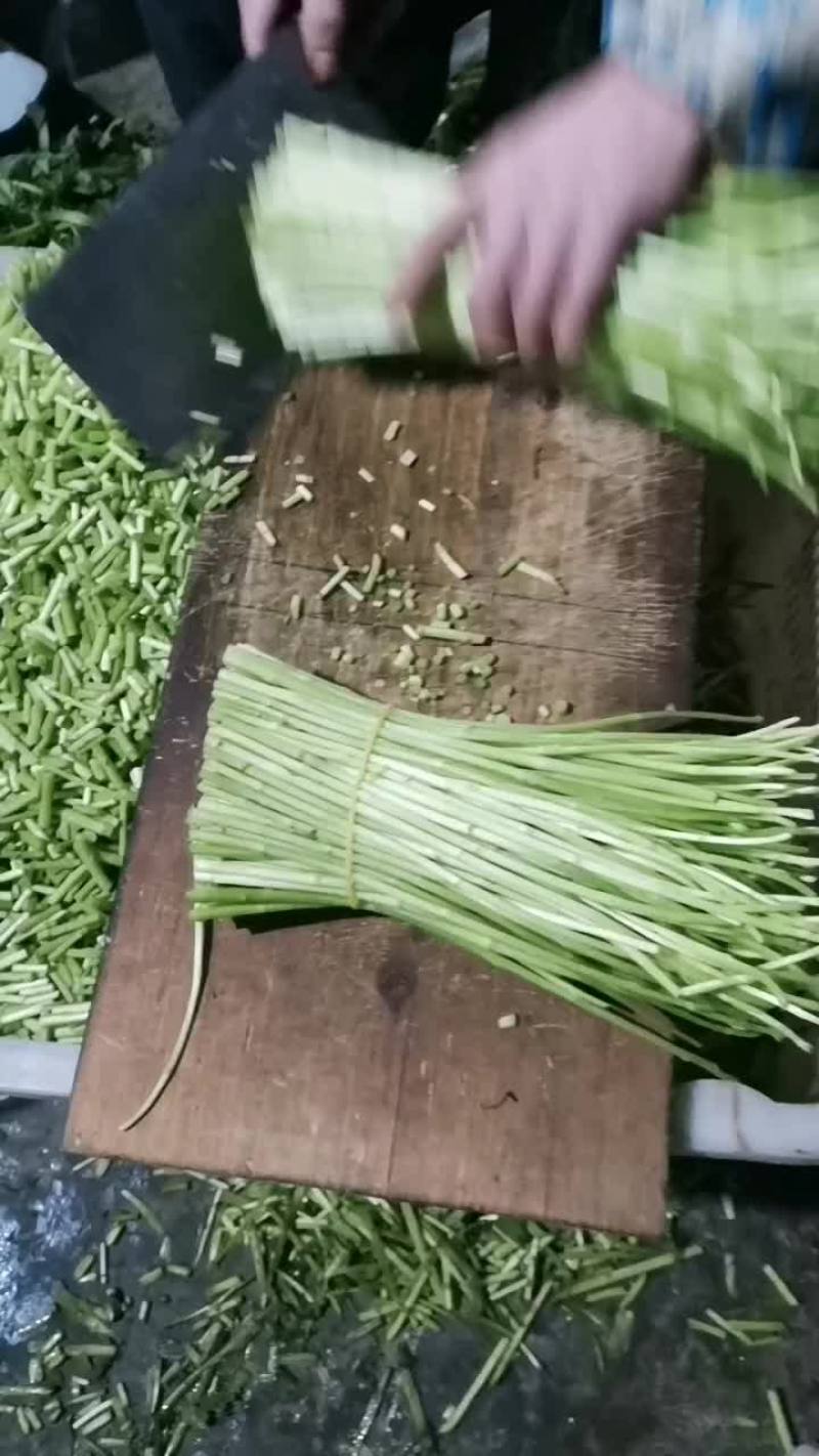 云南特级芦蒿