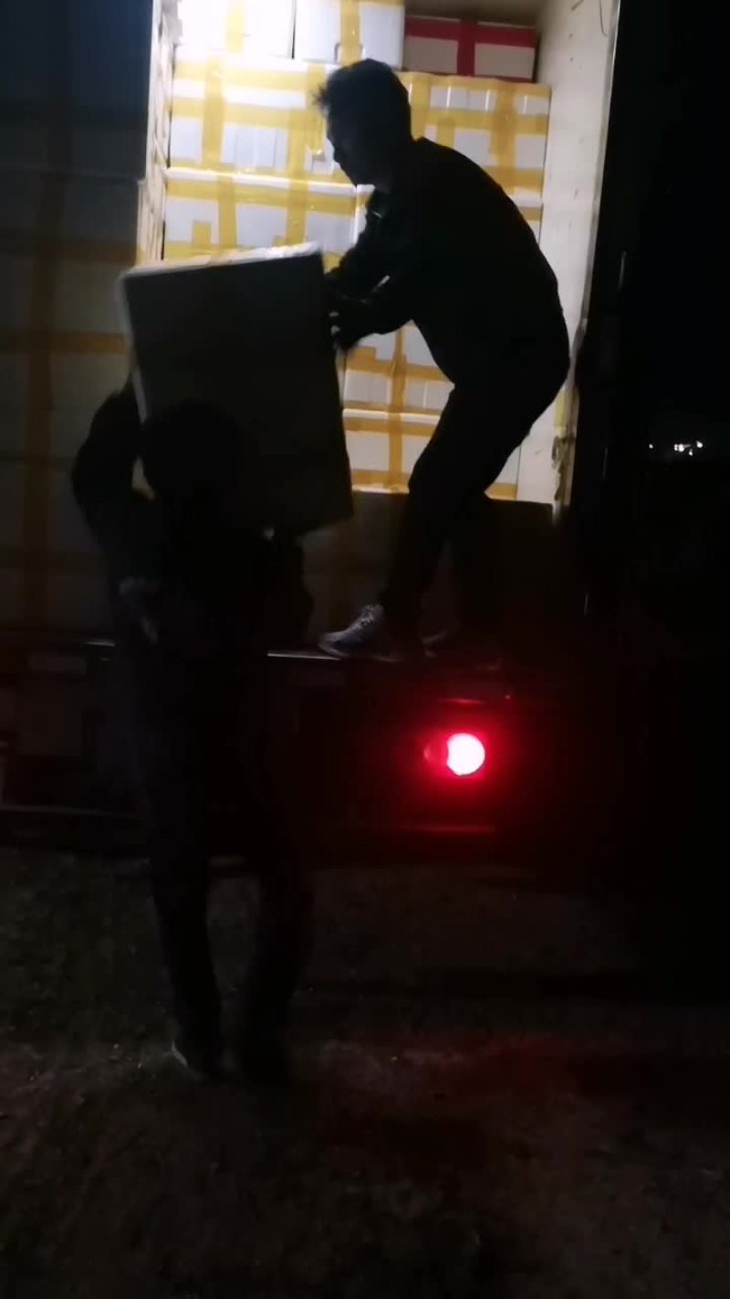云南特级芦蒿