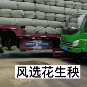 稻谷草，花生秧苗草玉米秸秆，小麦秸秆干草出售