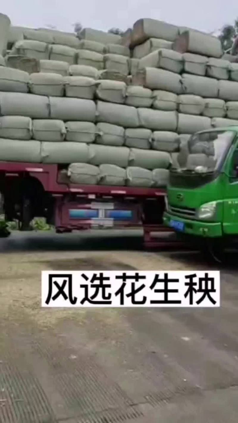 稻谷草，花生秧苗草玉米秸秆，小麦秸秆干草出售