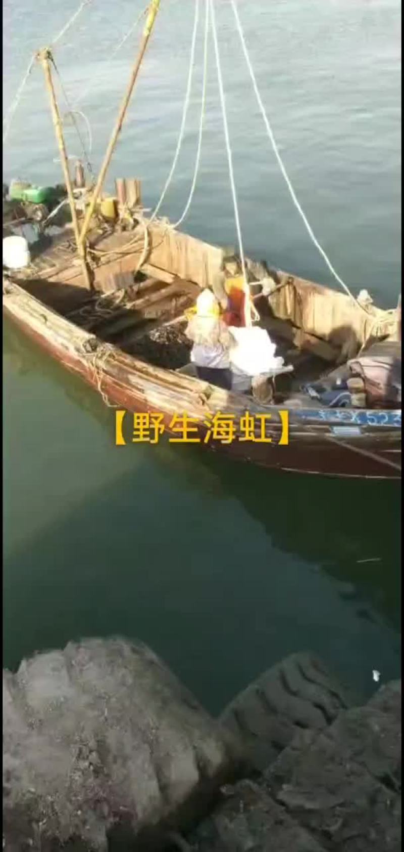海红