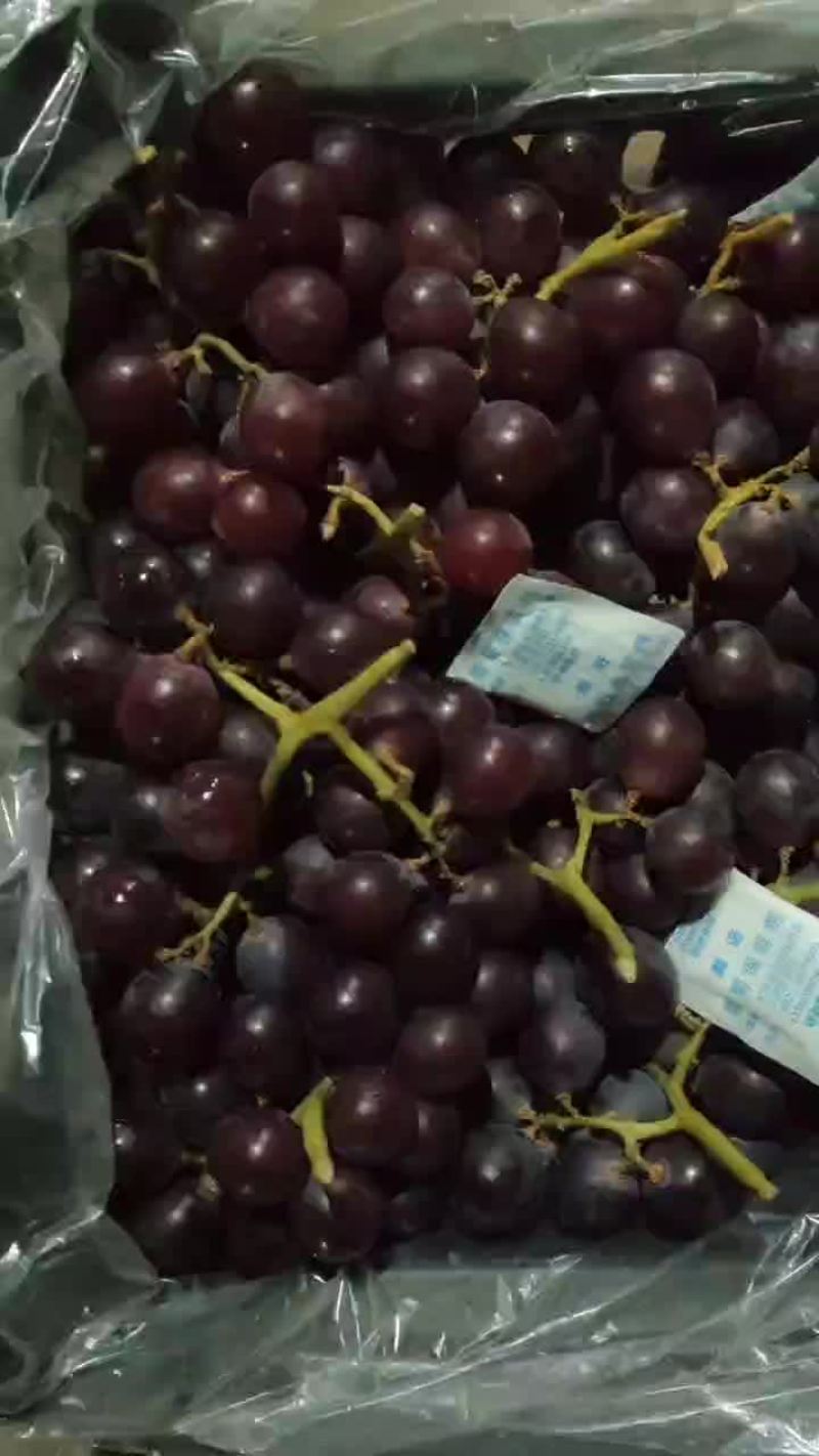 精品巨峰