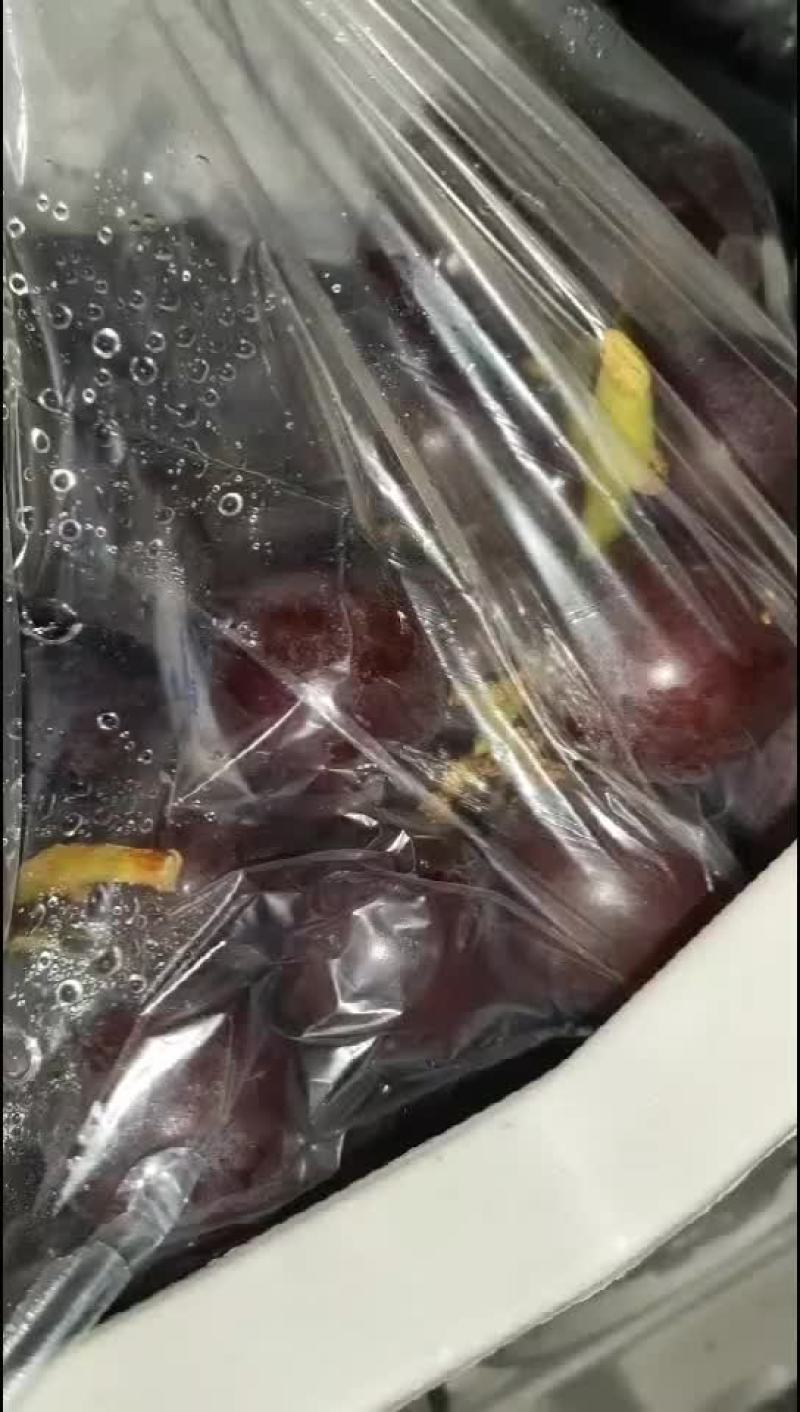 精品巨峰