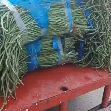 实力代卖莴笋，豆角等蔬菜