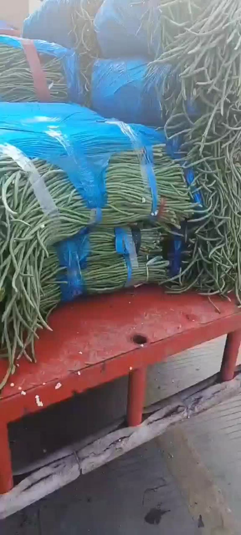 实力代卖莴笋，豆角等蔬菜