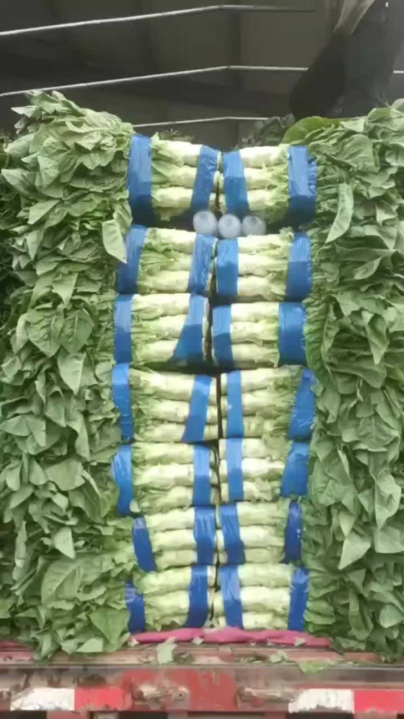 实力代卖莴笋，豆角等蔬菜