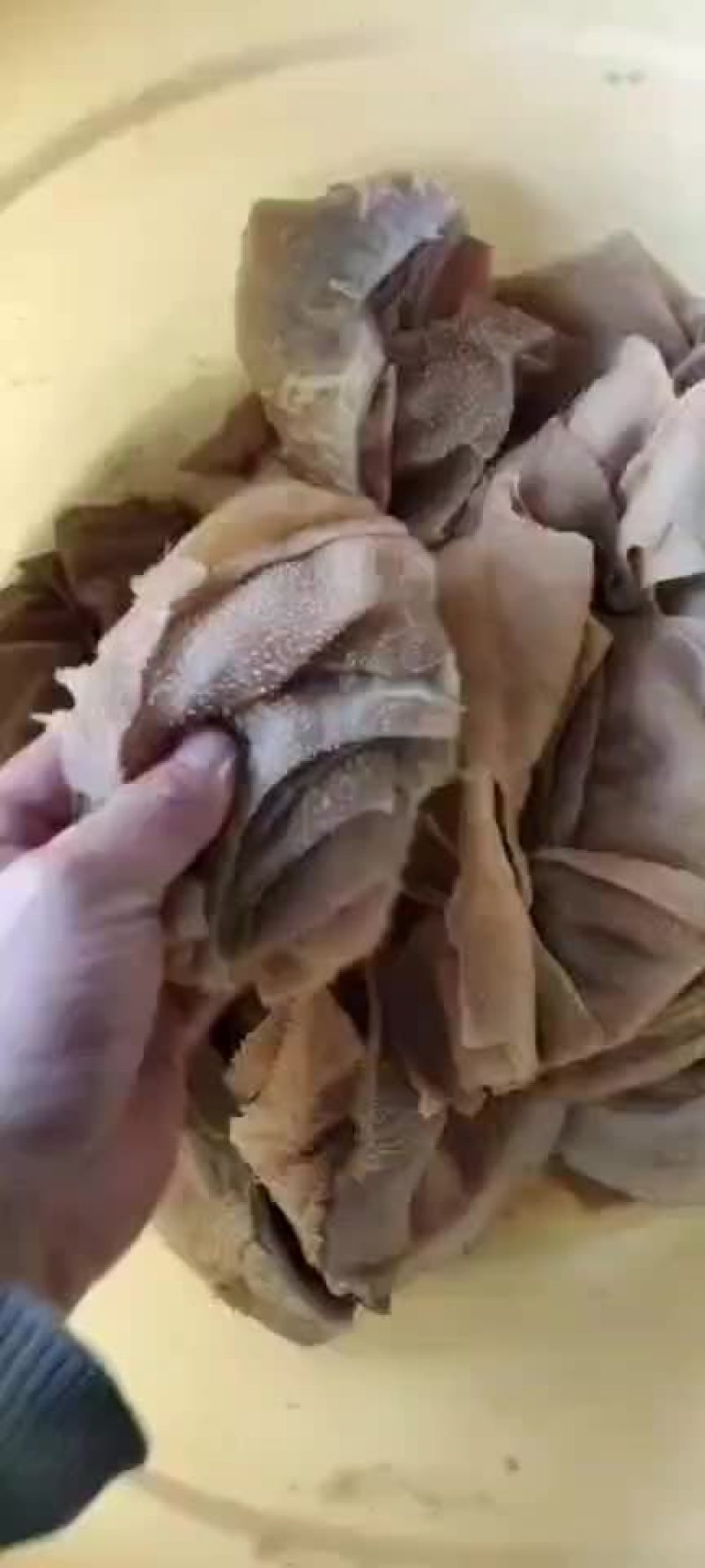 毛肚大边角