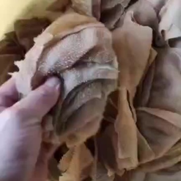 毛肚大边角