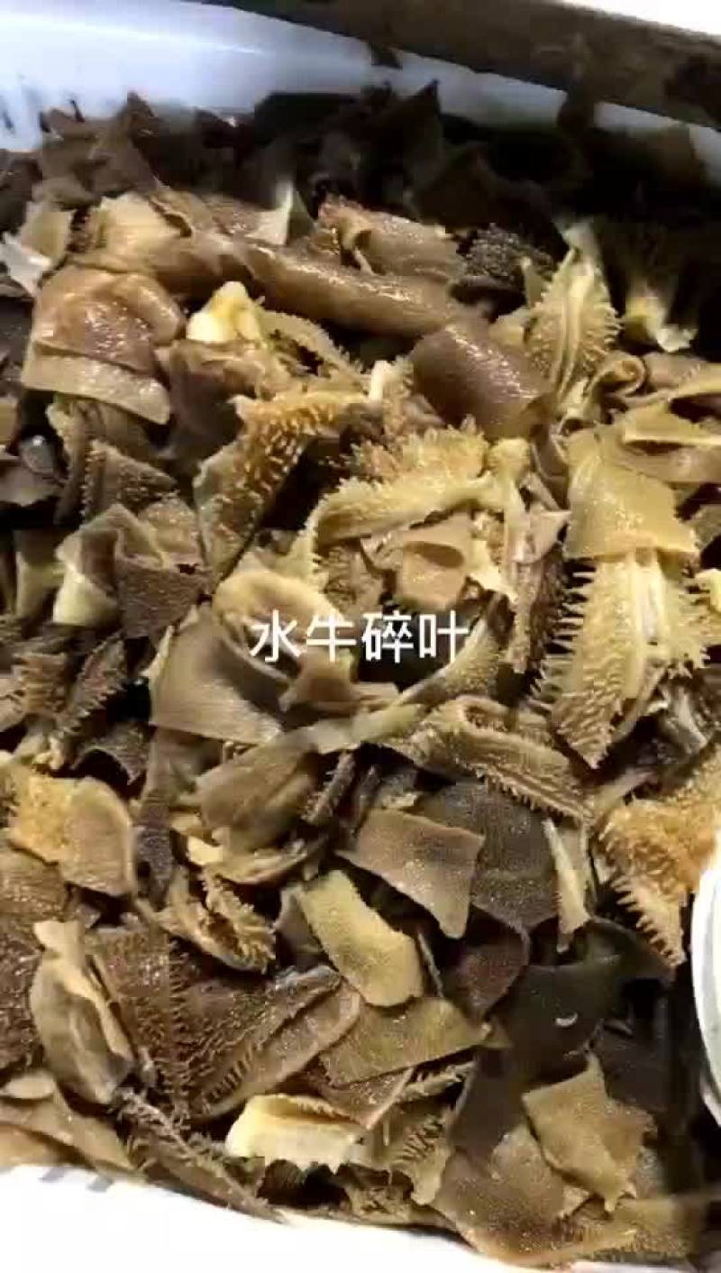 毛肚碎叶，碎毛肚