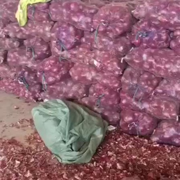 洋葱