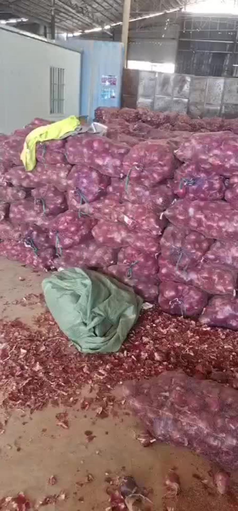 洋葱