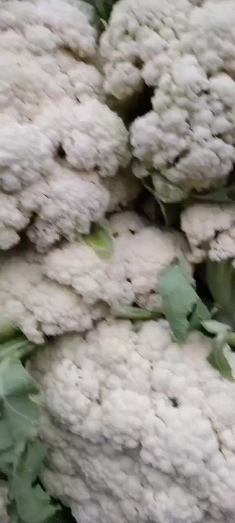 好菜