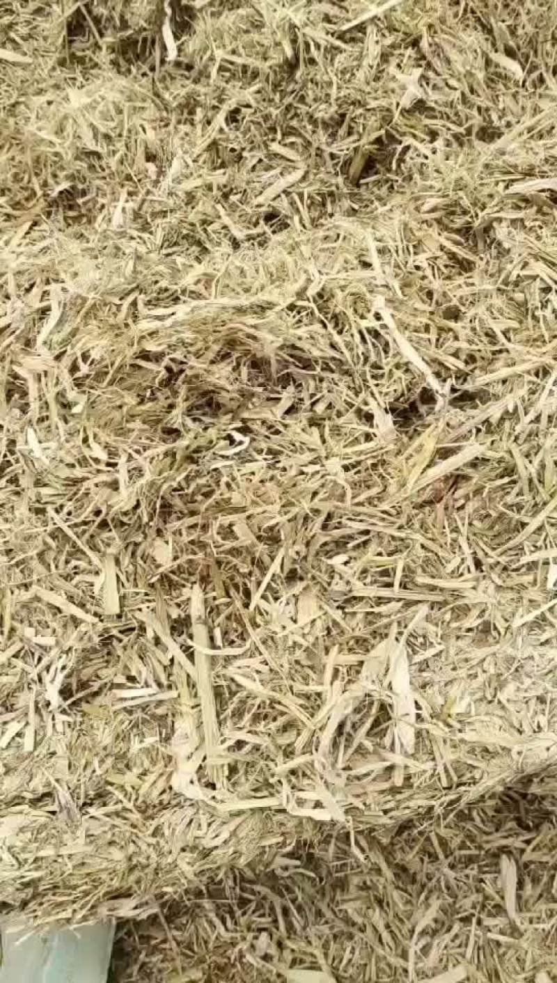 优质玉米秆价格美丽