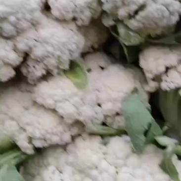 质量好