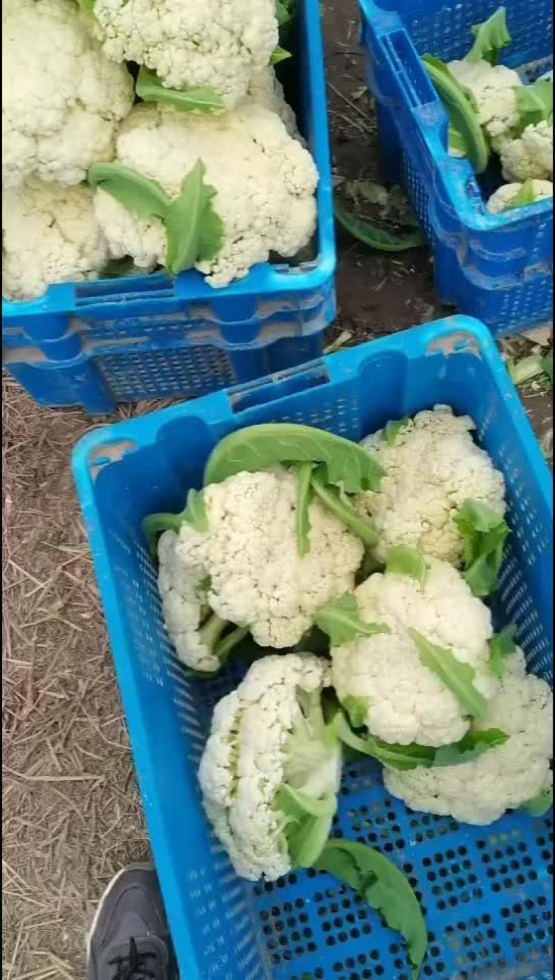 质量好