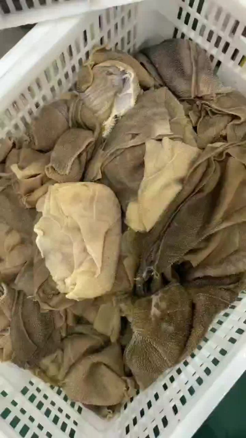 稀皮大叶片，毛肚大叶片，中叶片