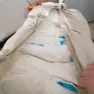 医用养殖都可以