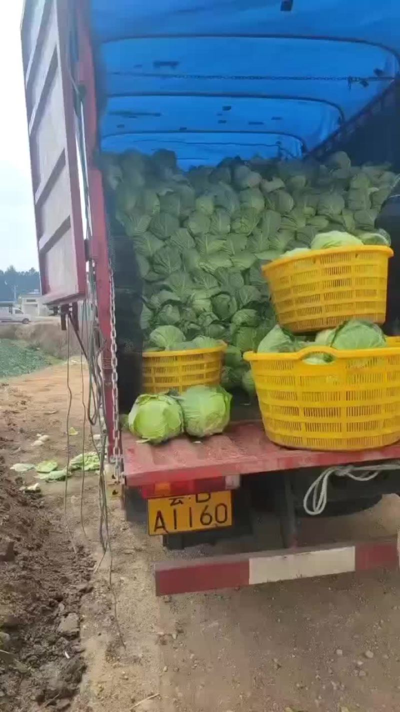 小铁头