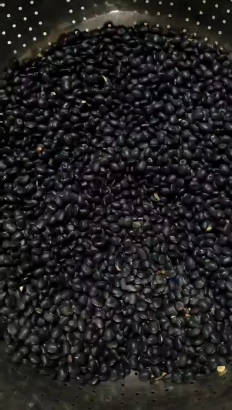 黑豆，煲汤特补，营养多样化