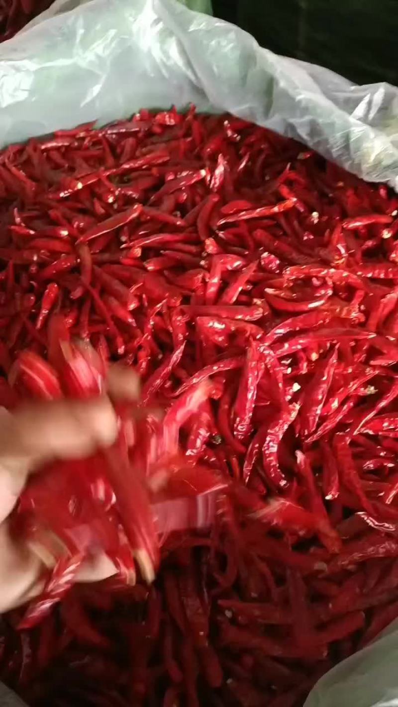 云南香辣朝天椒