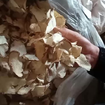 萆薢片投料片