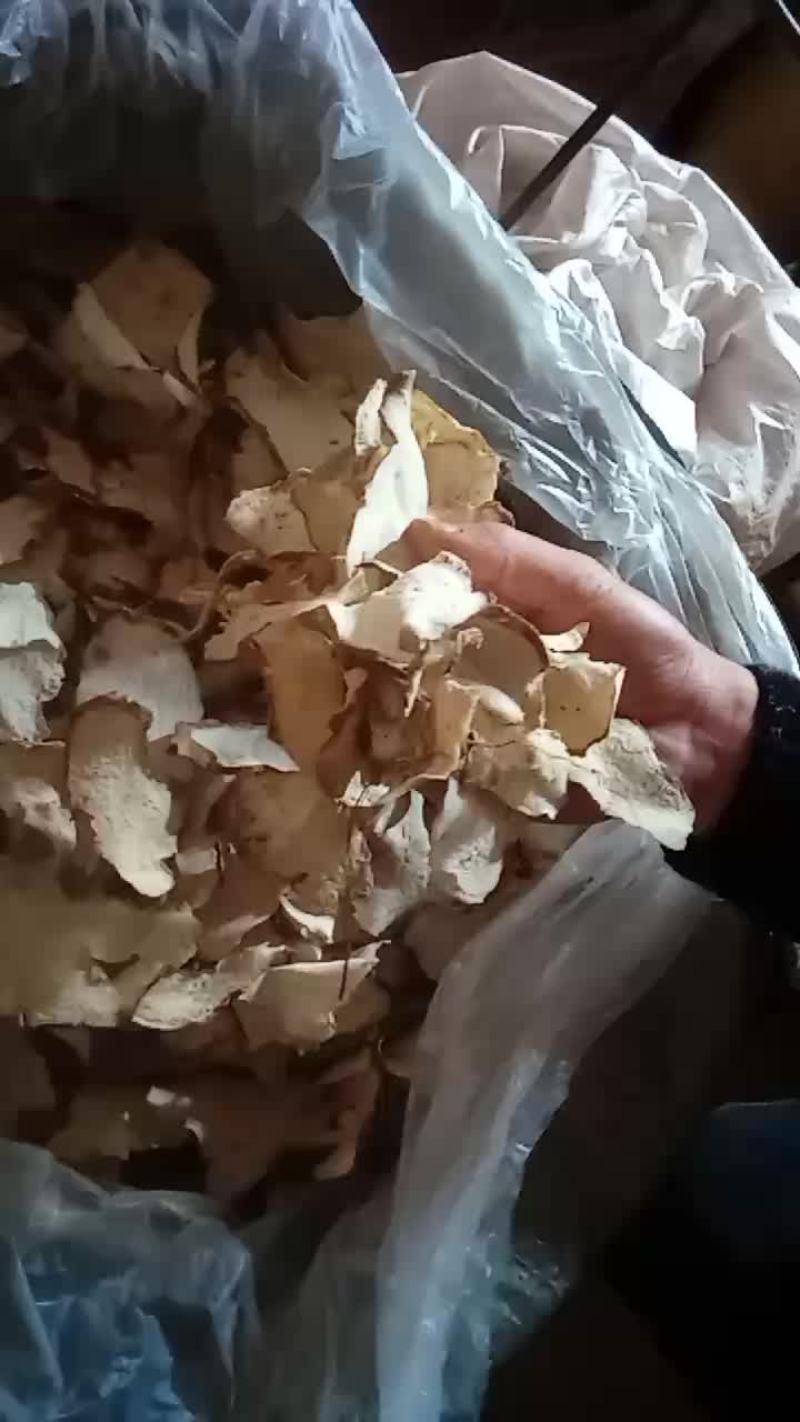 萆薢片投料片