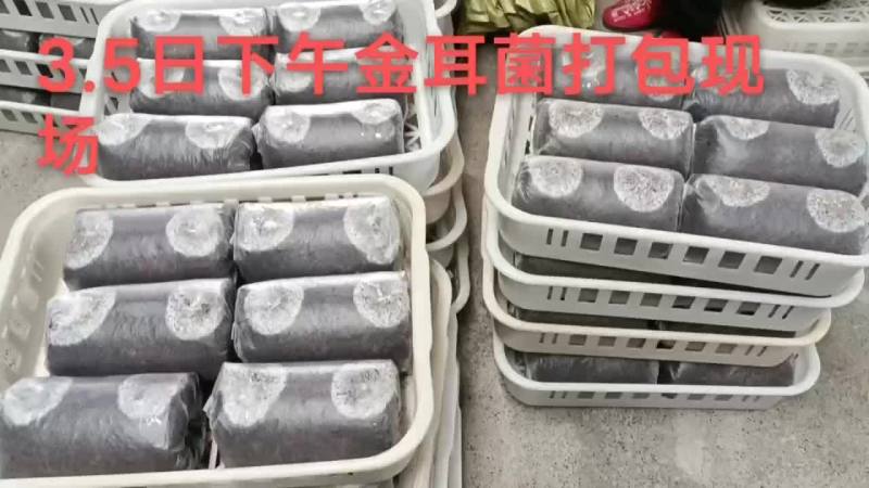 金耳菌包工厂直销，教技术