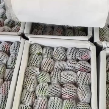 精品草莓西红柿