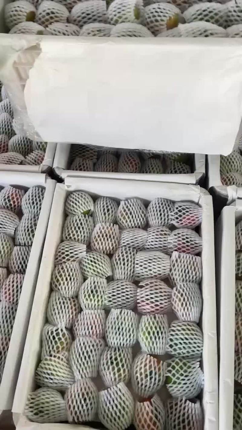 精品草莓西红柿
