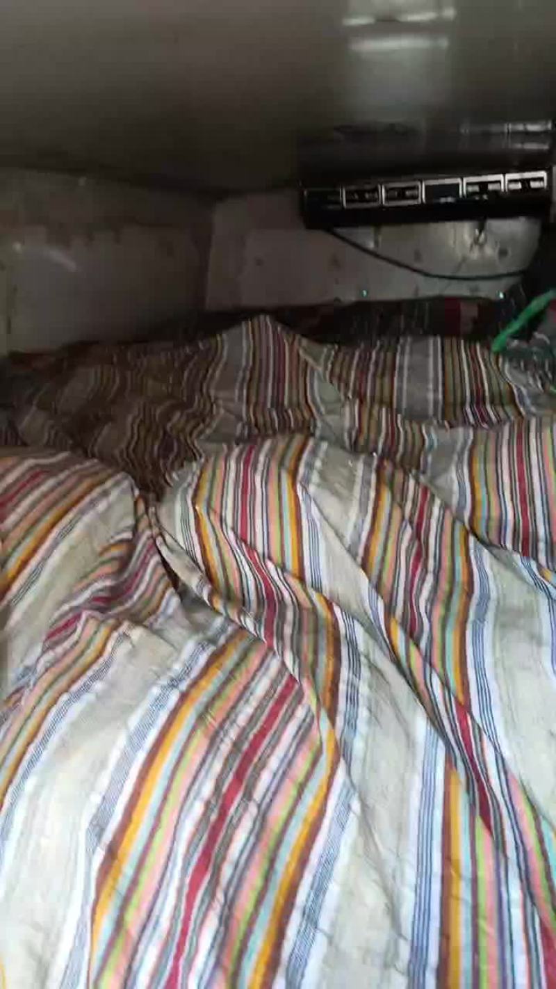 3500斤大母本蟹苗送货