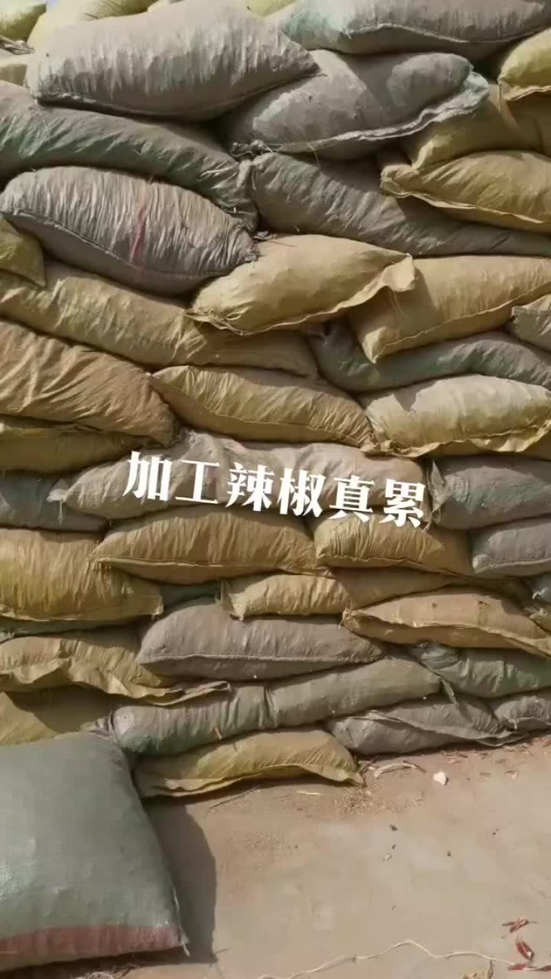 829高辣