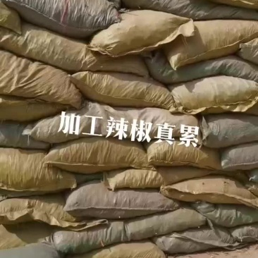 829高辣
