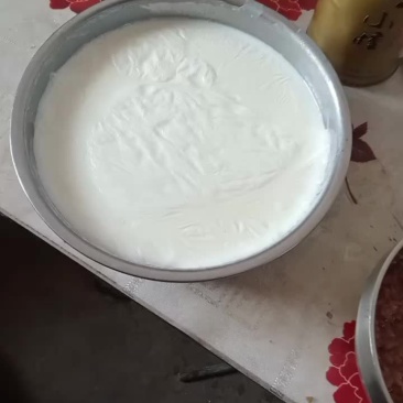 鲆羊奶
