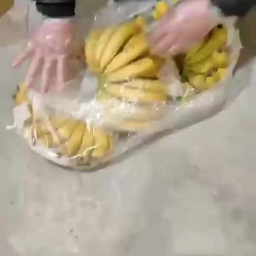香蕉