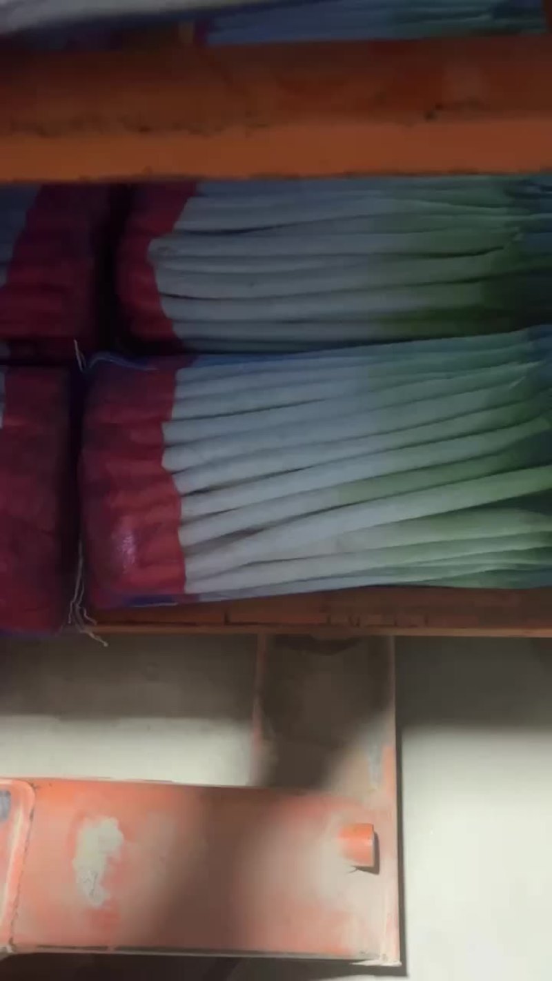 精品铁杆大葱，质量好，里外一样，无细葱，无断葱，货好价低