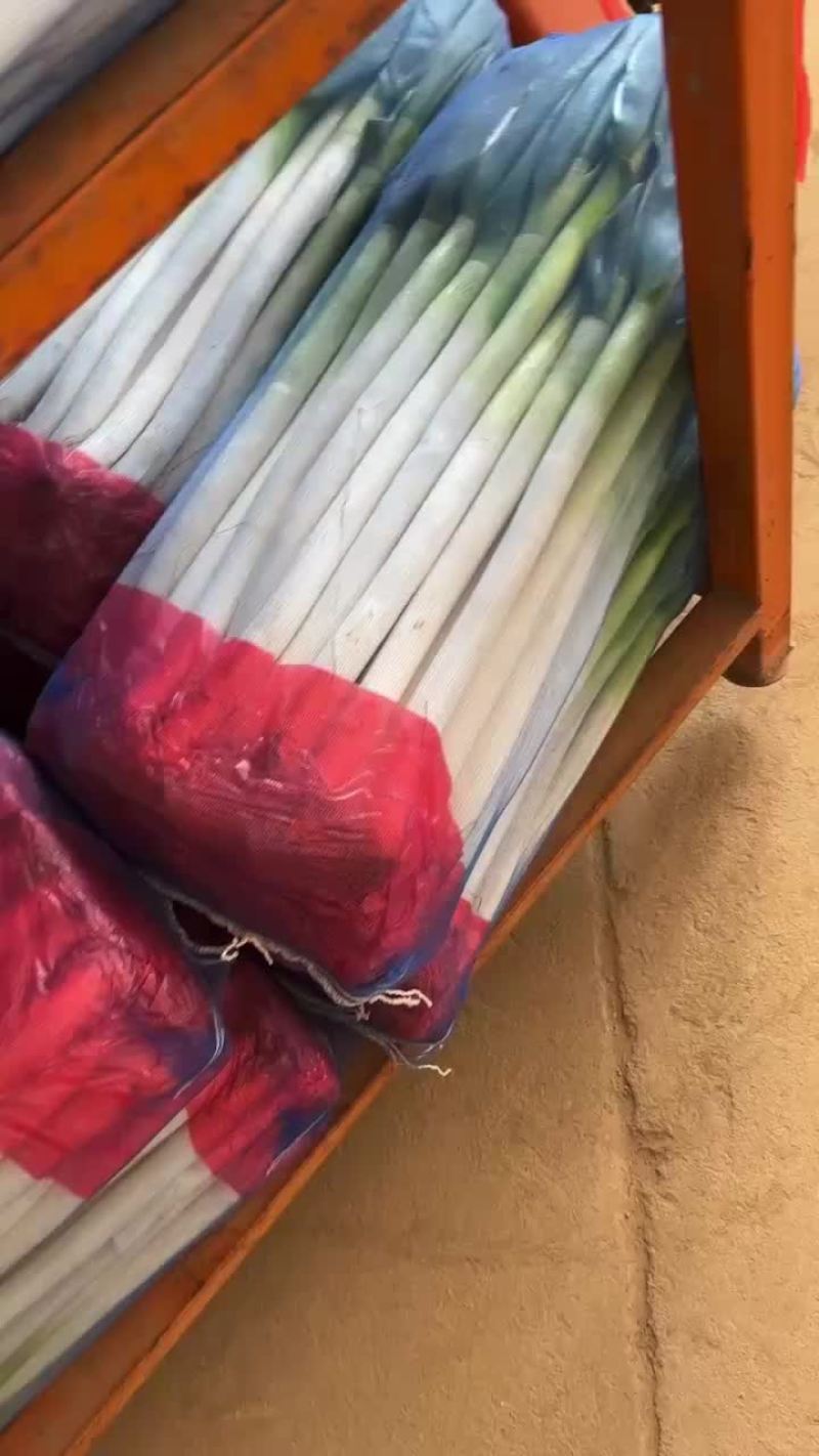 精品铁杆大葱，质量好，里外一样，无细葱，无断葱，货好价低