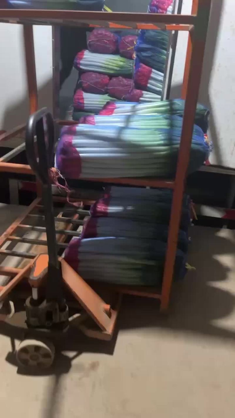精品铁杆大葱，质量好，里外一样，无细葱，无断葱，货好价低