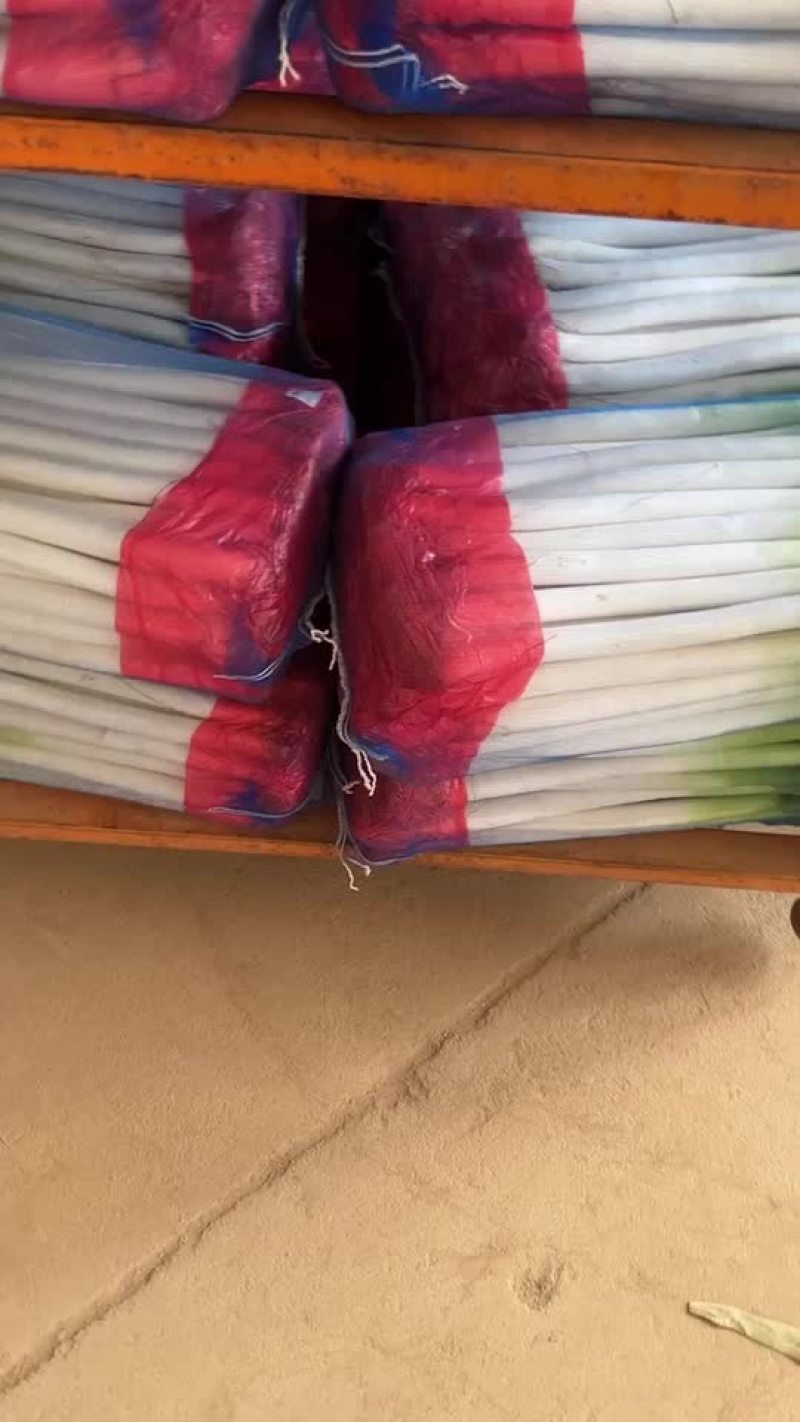 精品铁杆大葱，质量好，里外一样，无细葱，无断葱，货好价低