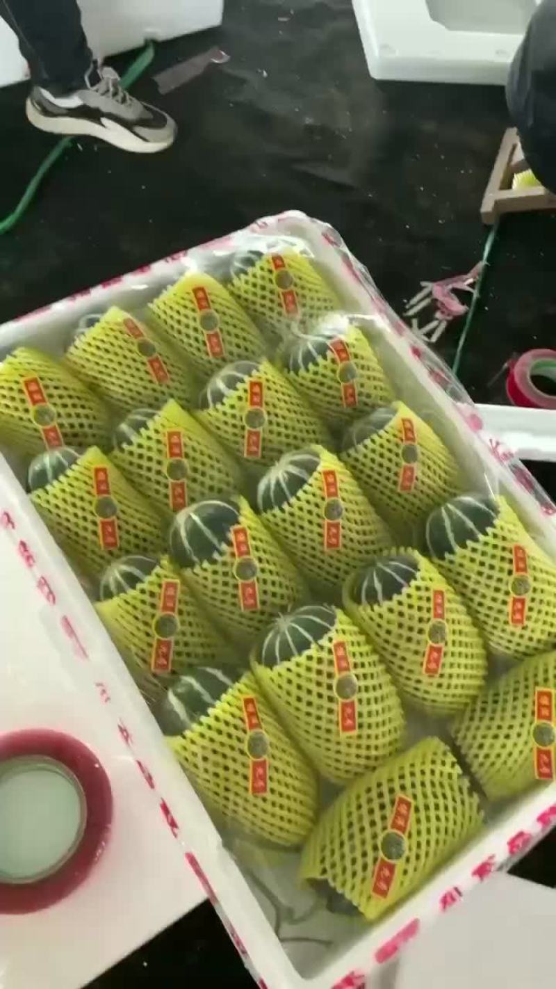 河北唐山乐亭甜瓜大量发货中