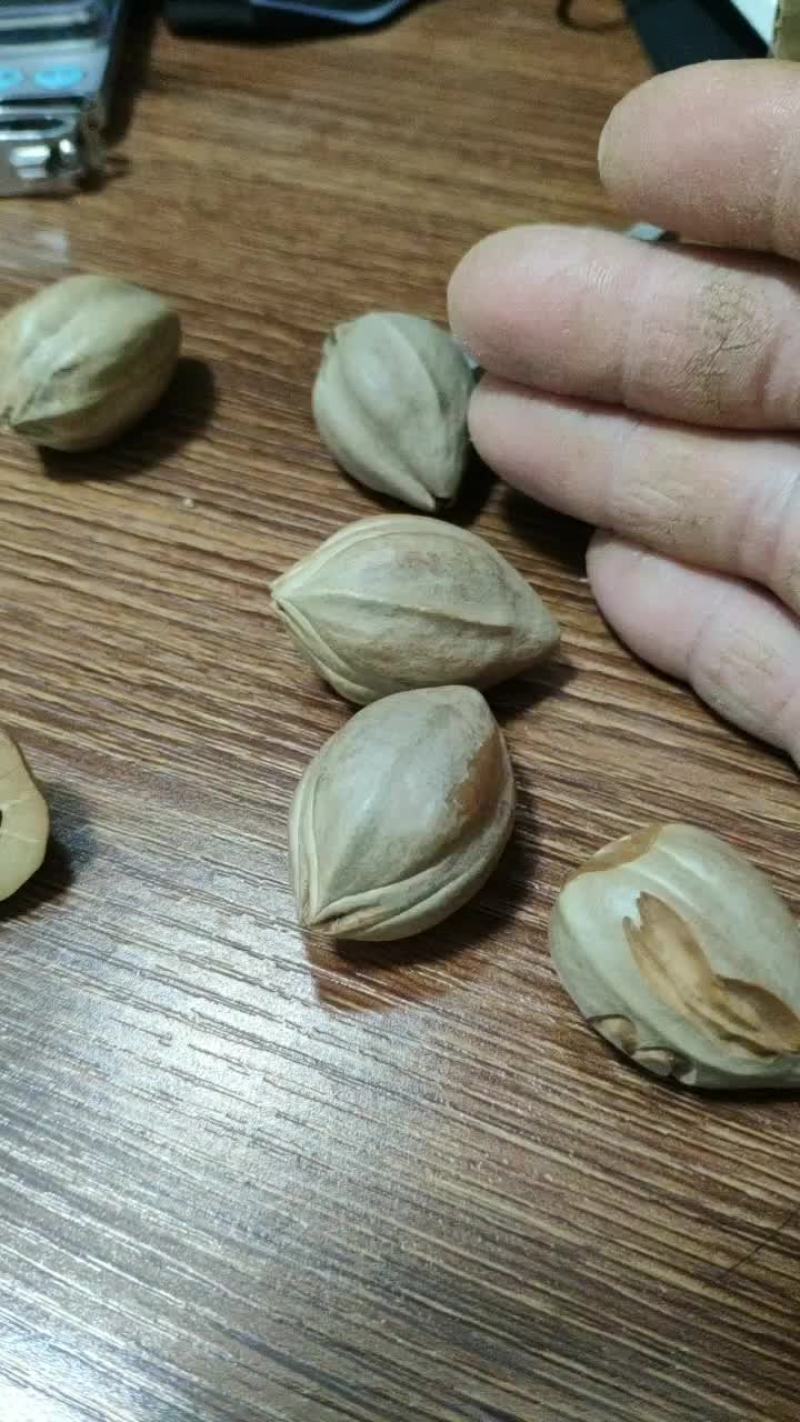 罗定市新乐大头核