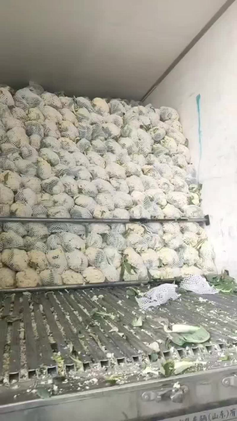 散花菜质量好
