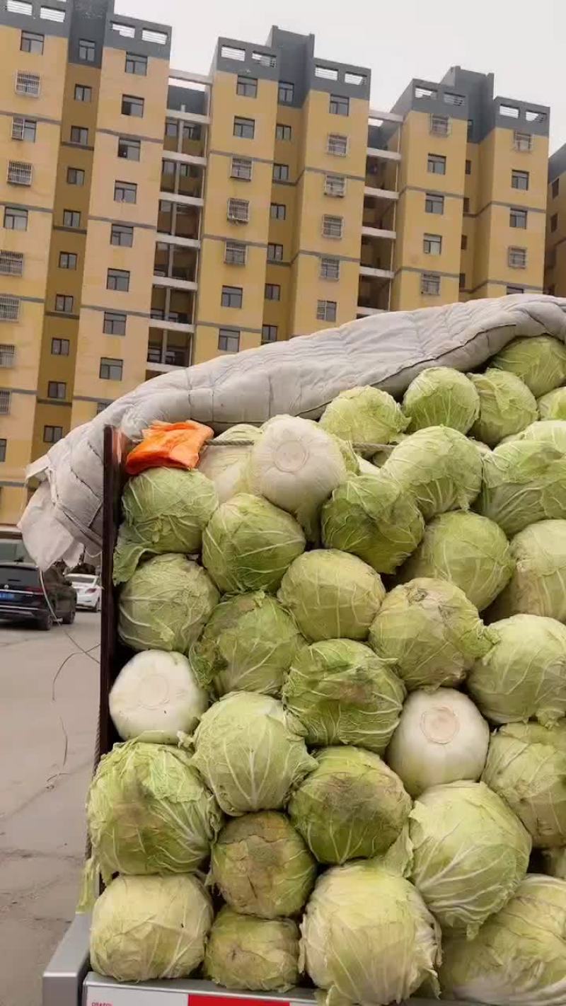 库存精选大白菜