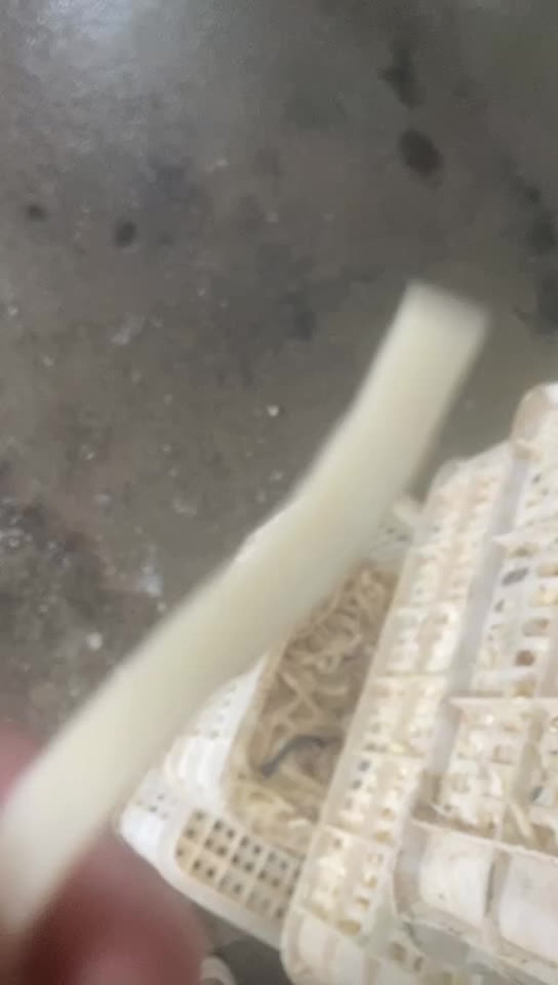 羊皮丝